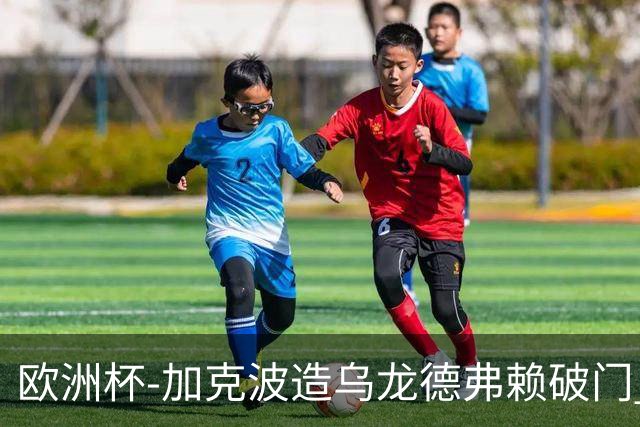 欧洲杯-加克波造乌龙德弗赖破门 荷兰2-1土耳其